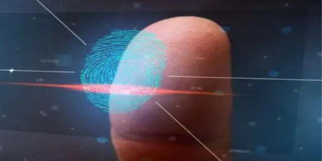 指纹是什么类型证据