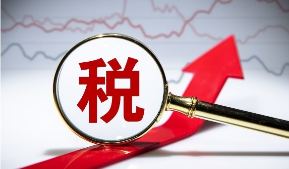 一般纳税人和小规模纳税人的区别是什么