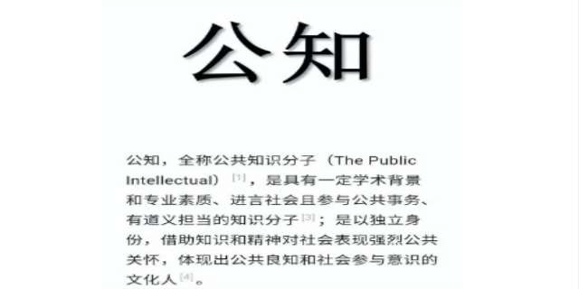公知是什么意思