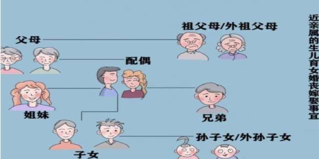 2024民法典的亲属、近亲属及家庭成员有什么规定