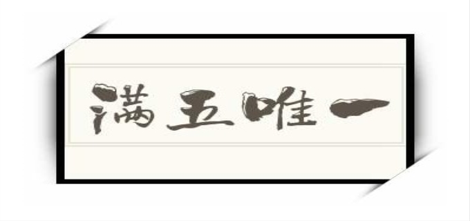 满五唯一是什么?