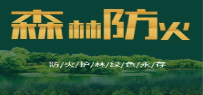 最新森林防火条例是如何规定的