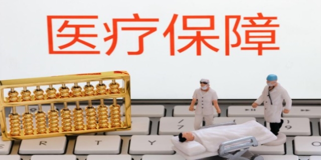 医疗保障是什么意思,法律的规定是什么