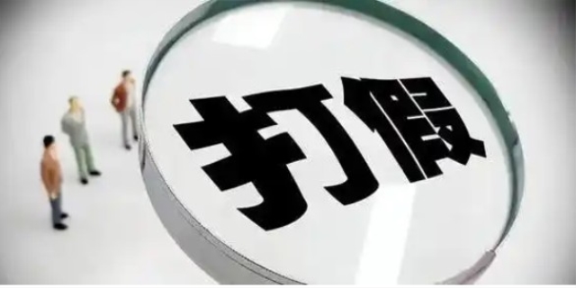 什么是打假?