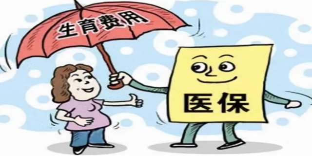 失业保险金领取条件及标准2024 领取方式如下