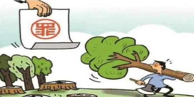 什么是盗伐林木罪
