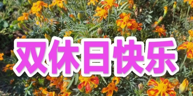 双休日是法定休息日吗,最新的规定是什么