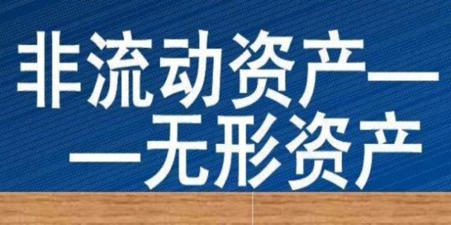 非流动资产包括哪些