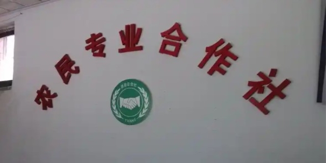 2024农民专业合作社的经营范围有哪些规定