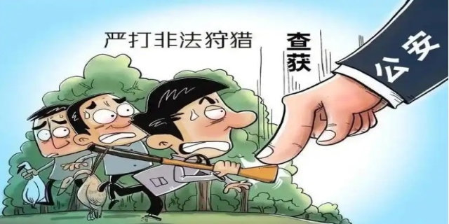 非法狩猎罪是什么意思