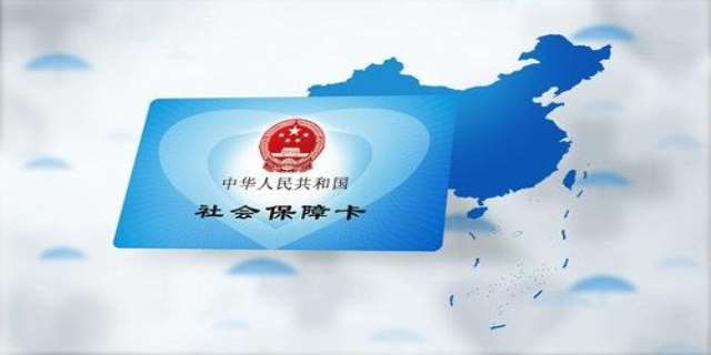 2024社保缴费查询方法都有哪些