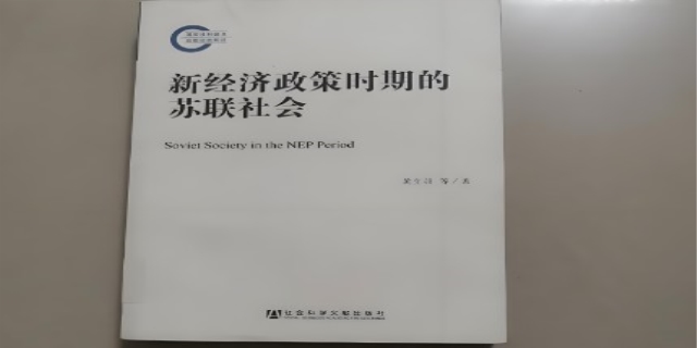 新经济政策的主要特征是什么