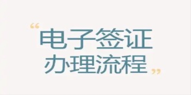 电子签证怎么查用没用