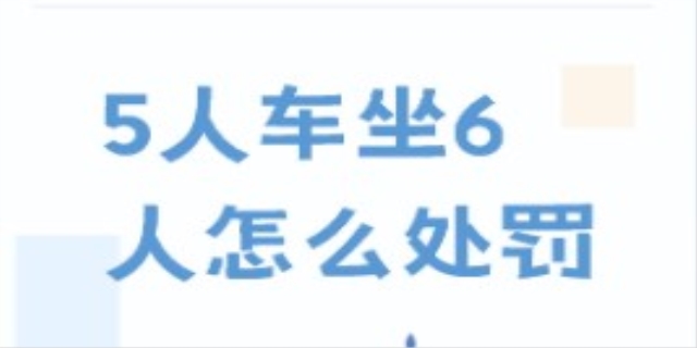 5人车座6人怎么处罚