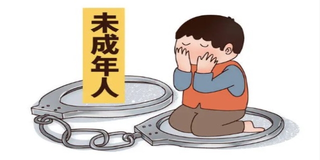 青少年违法犯罪案例