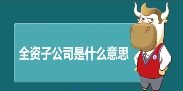 全资子公司是什么意思,全资子公司和母公司的关系