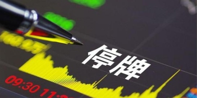 股票停牌是什么意思