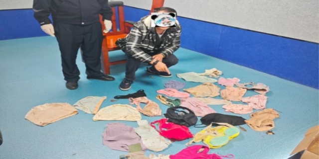 偷内衣内裤会不会拘留
