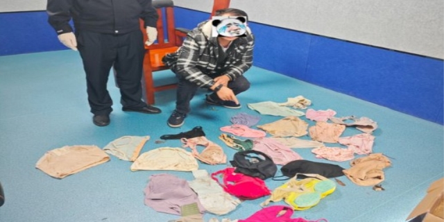 盗窃女性内衣是什么罪