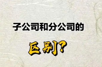 分公司和子公司有什么区别