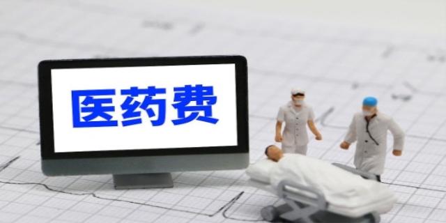 医疗费包括什么