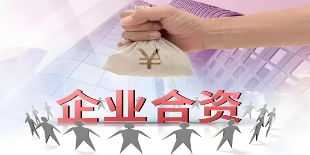 合资企业什么意思