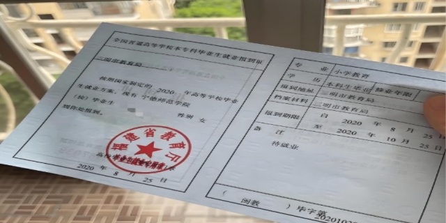 就业报到证是什么