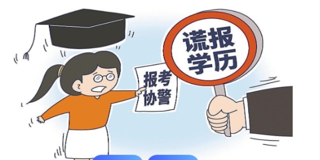 学历造假承担什么责任